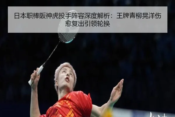 ri-ben-zhi-bang-ban-shen-hu-tou-shou-zhen-rong-shen-du-jie-xi-wang-pai-qing-liu-huang-yang-shang-yu-fu-chu-yin-ling-lun-2-928.jpg
