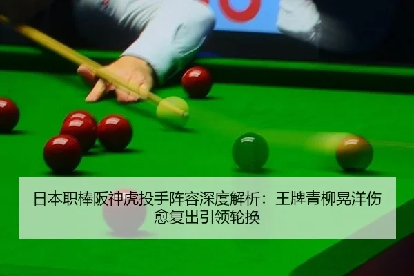 ri-ben-zhi-bang-ban-shen-hu-tou-shou-zhen-rong-shen-du-jie-xi-wang-pai-qing-liu-huang-yang-shang-yu-fu-chu-yin-ling-lun-3-322.jpg