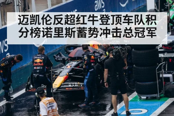 Red Bull F1 car pit stop
